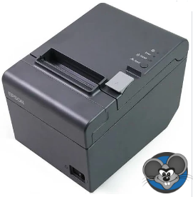 Imprimante thermique Epson TM-T20   Usagée