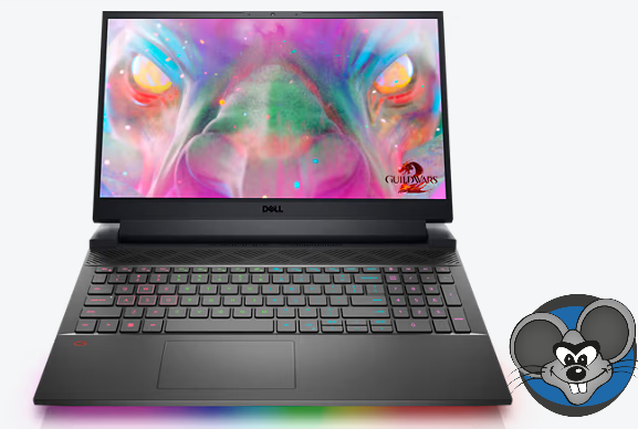 Portable Dell G15 5511   i7-1180H    Gamer